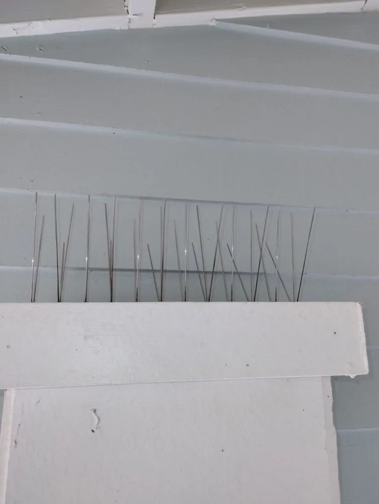 Reliable residential landscaping for outdoor upgrades in Corpus Christi, TX by Lugo's Outdoor Services