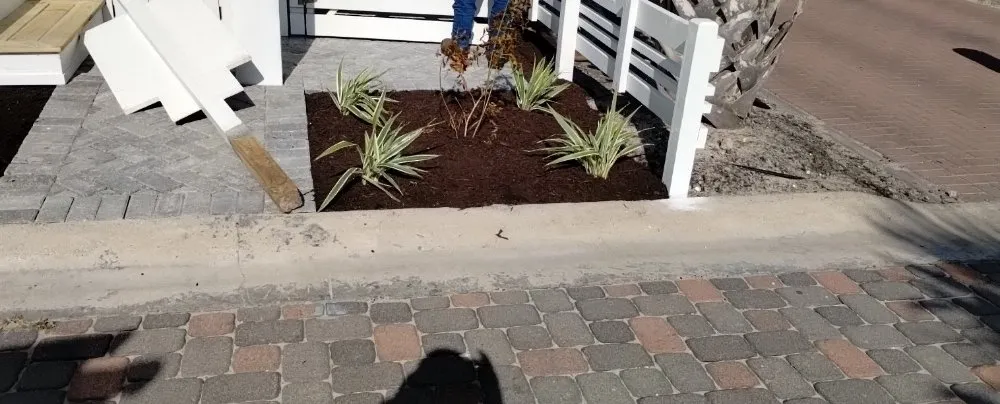 Local lawn mowing service experts serving Corpus Christi, TX - Lugo's Outdoor Services