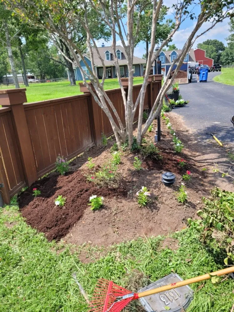 Local landscaping services near you across Houston, TX - Lugo's Tree & Landscaping Services