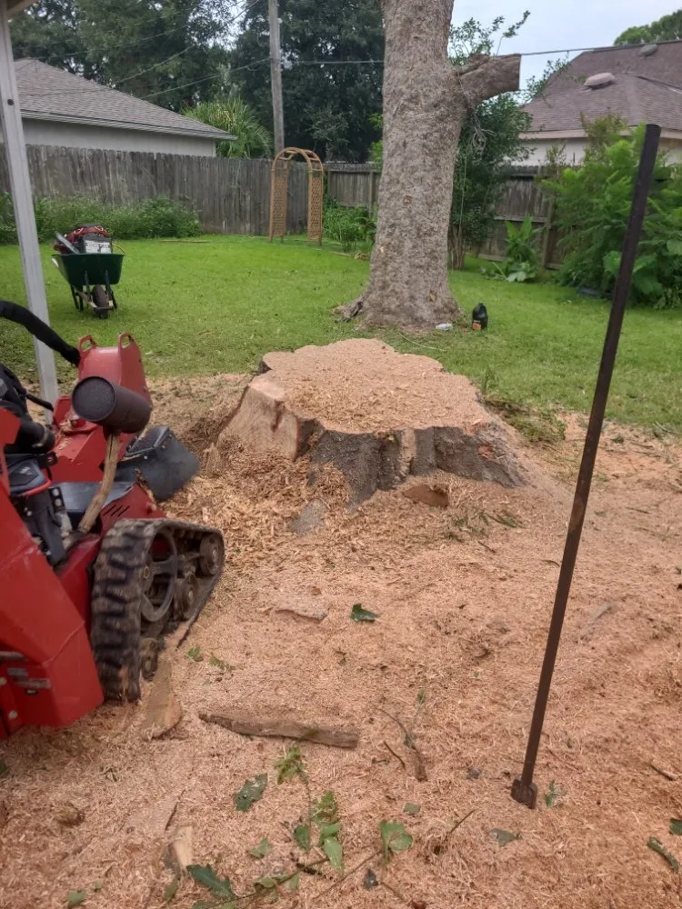 Expert landscape design for beautiful yards in Houston, TX by Lugo's Tree & Landscaping Services