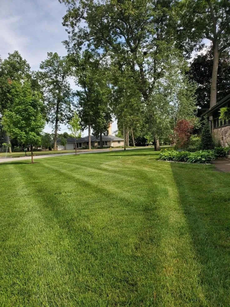 Custom yard maintenance near you across Barnstable, MA - Luigi Cutsgreen