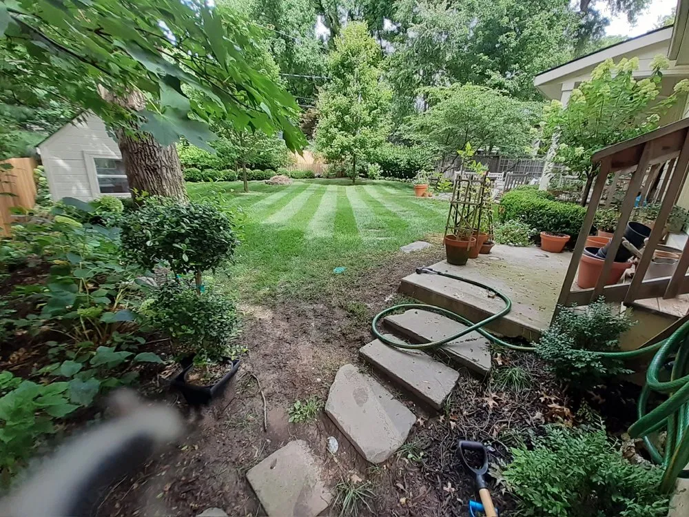 Affordable yard cleanup service for beautiful yards in Sandston, VA by Luigi Lawn & Landscaping