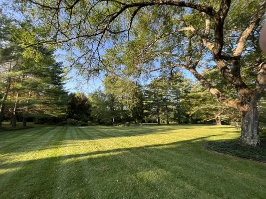 Luigi's Lawn & Landscape Logo