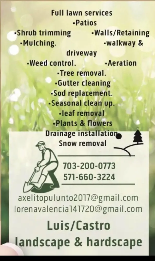 Custom landscape design in Forest Heights, MD - Luis & Castro Landscape & Hardscape