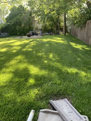 Luis & sons Landscaping Logo