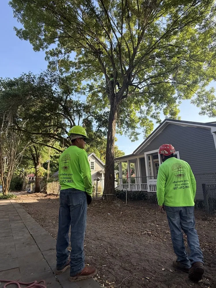 Trusted outdoor landscaping in Orlando, FL - Luis 332 Tree Service