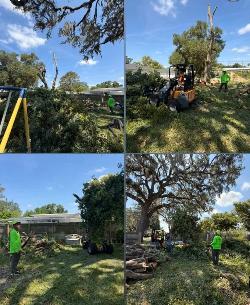 Expert landscape installation in Orlando, FL - Luis 332 Tree Service