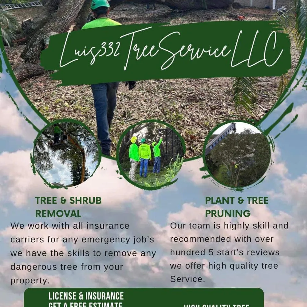 Local landscape installation in Orlando, FL - Luis 332 Tree Service