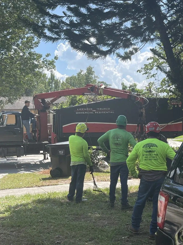Affordable outdoor landscaping in Orlando, FL by Luis 332 Tree Service