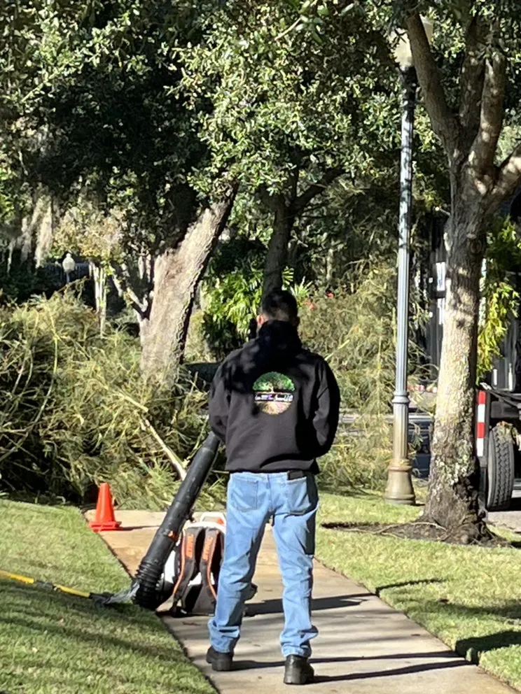 Custom landscape design for year-round maintenance in Orlando, FL by Luis 332 Tree Service