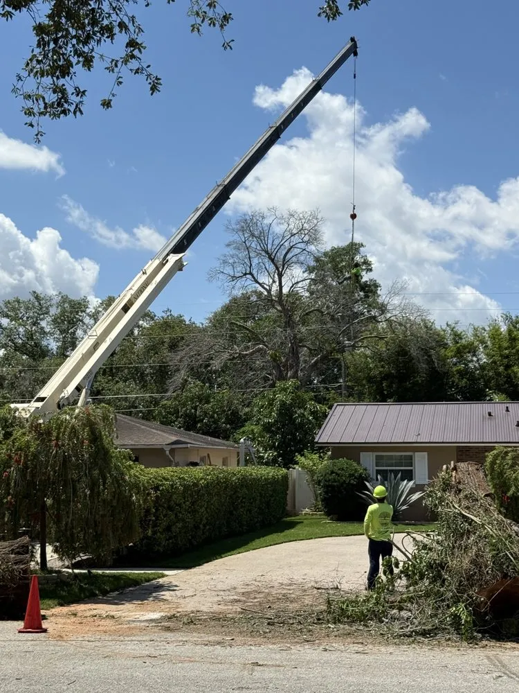 Custom landscaping services in Orlando, FL by Luis 332 Tree Service