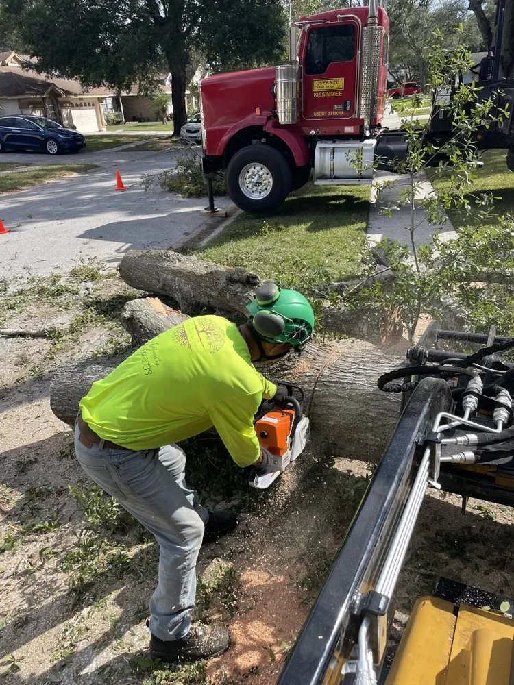 Local outdoor landscaping in Orlando, FL by Luis 332 Tree Service