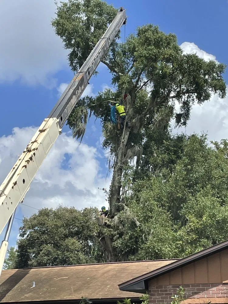 Affordable lawn care service for homes in Orlando, FL by Luis 332 Tree Service