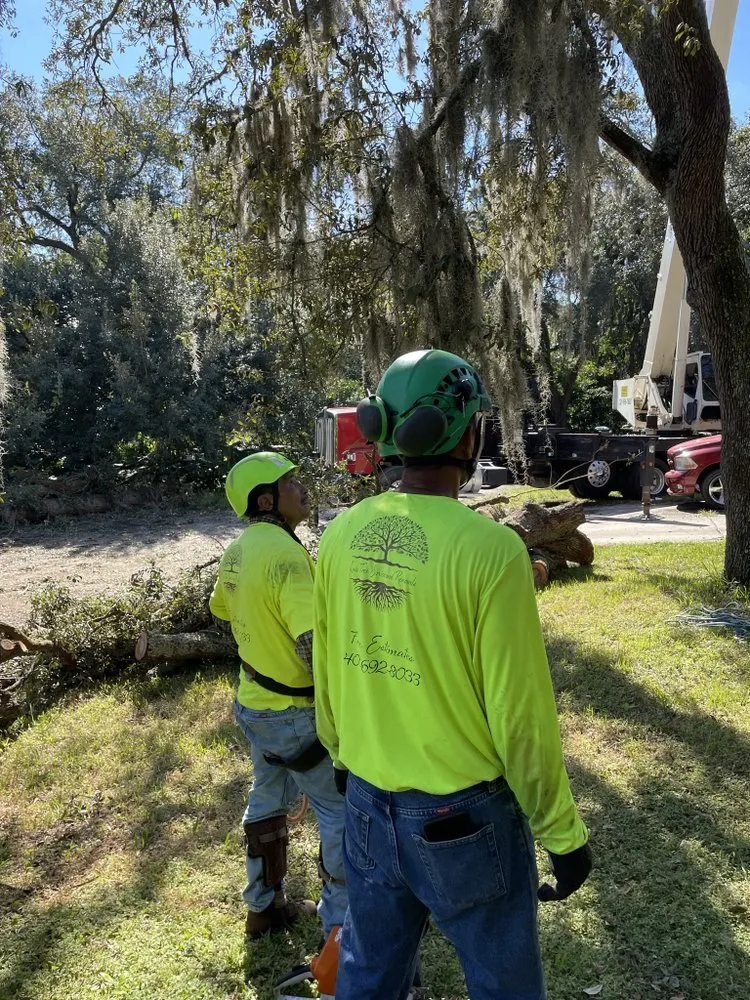 Reliable landscape installation in Orlando, FL - Luis 332 Tree Service