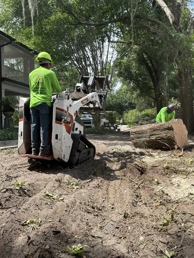 Trusted lawn care service in Orlando, FL - Luis 332 Tree Service