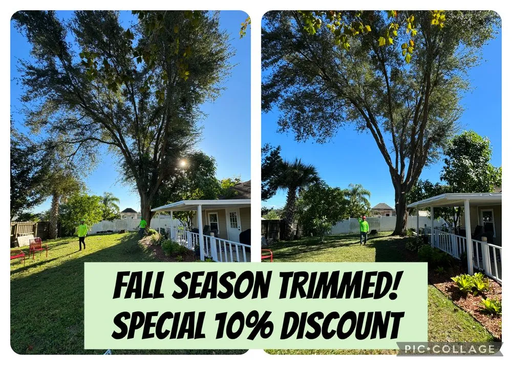 Trusted yard cleanup service for homes in Orlando, FL by Luis 332 Tree Service