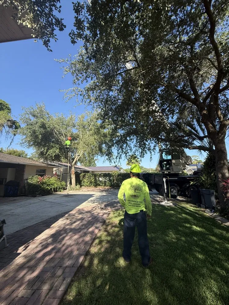 Affordable lawn care service experts serving Orlando, FL - Luis 332 Tree Service