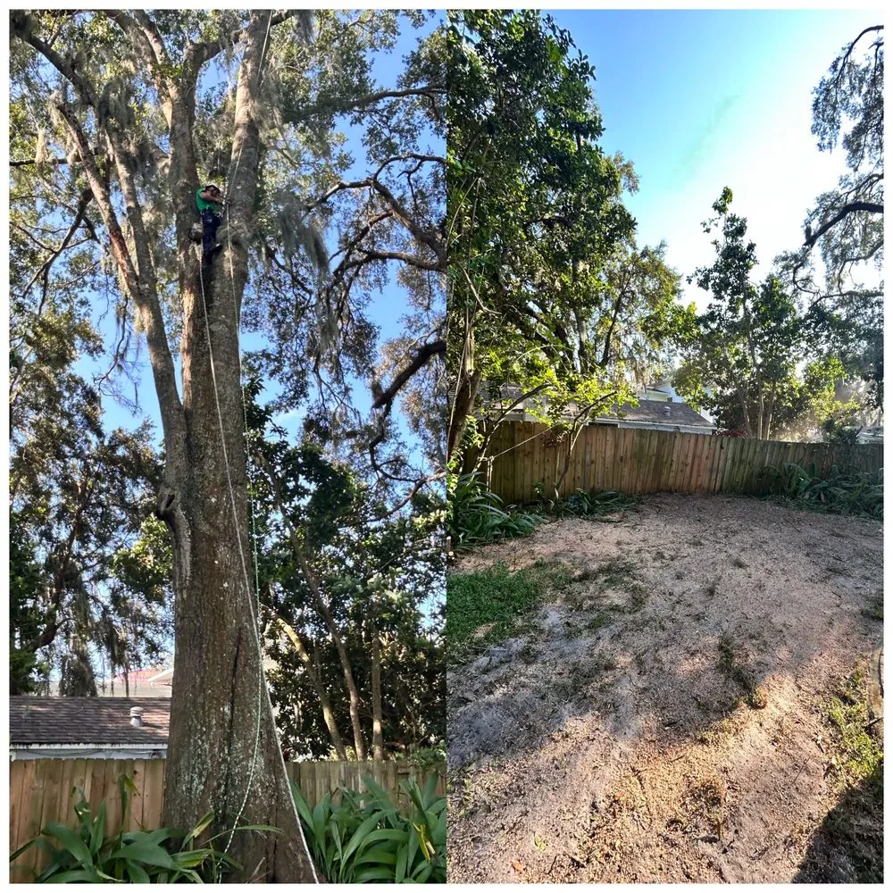 Custom lawn care service in Orlando, FL - Luis 332 Tree Service