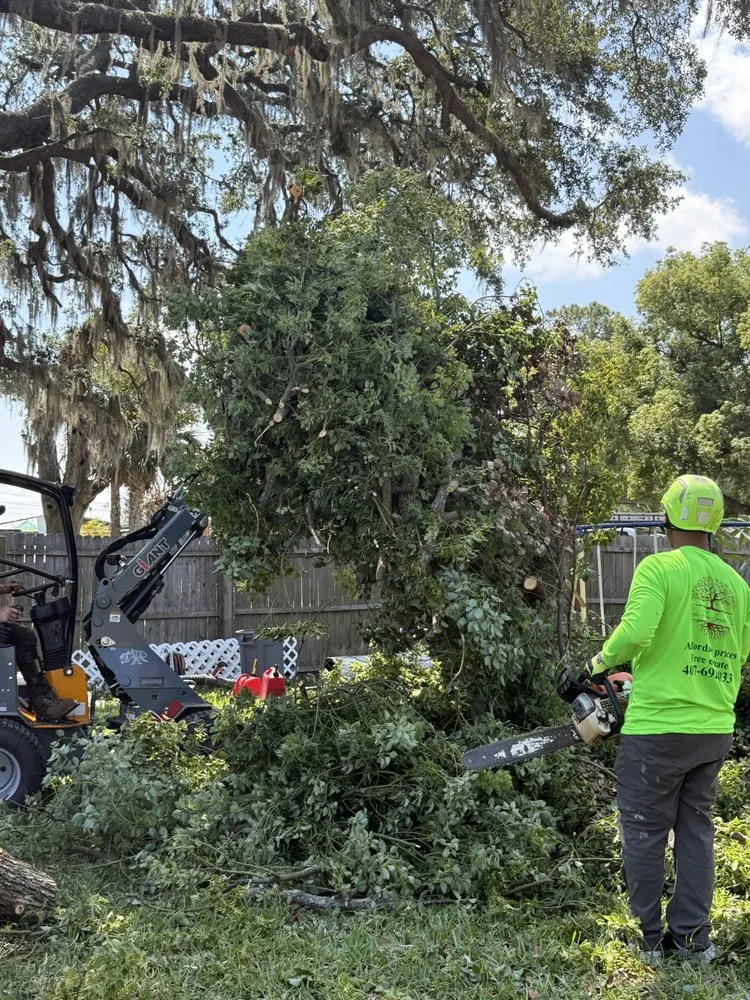 Top-rated landscape design for homes across Orlando, FL - Luis 332 Tree Service