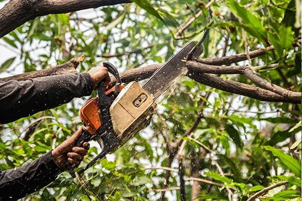 Affordable yard maintenance in Mahopac, NY - Luis A Martinez Landscaping