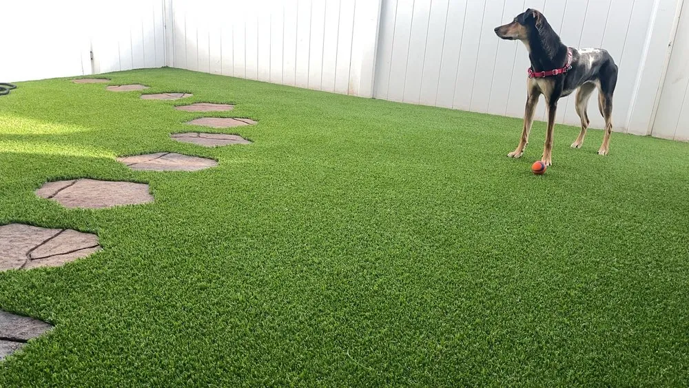 Top-rated outdoor landscaping for year-round maintenance across Santa Ana, CA - Luis A Putting Green