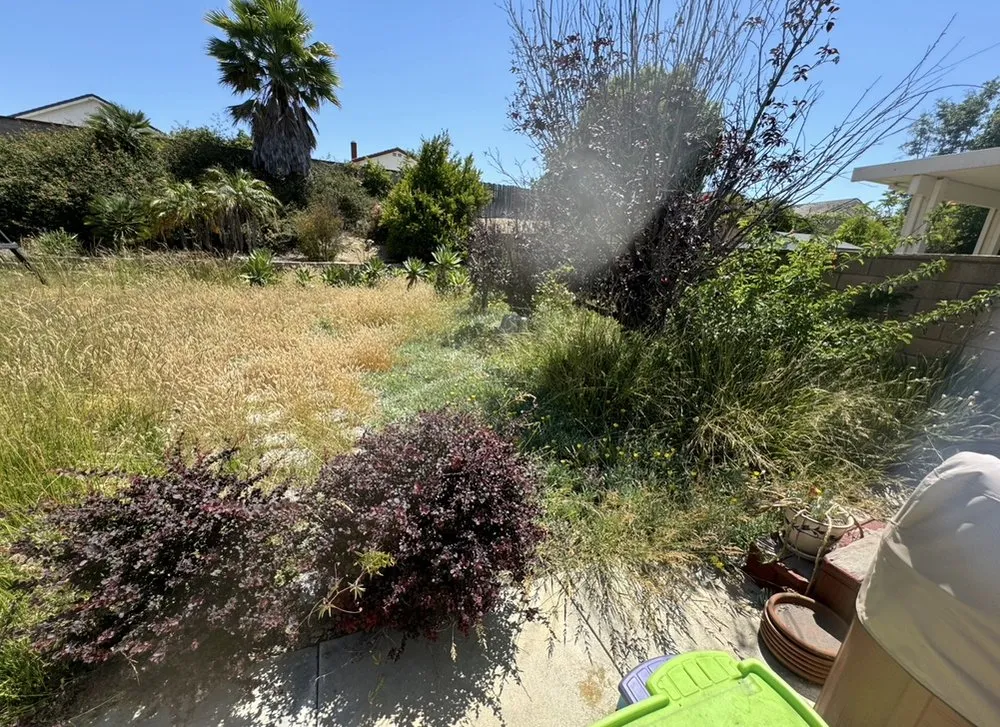 Top-rated landscaping services in Santa Ana, CA by Luis A Putting Green