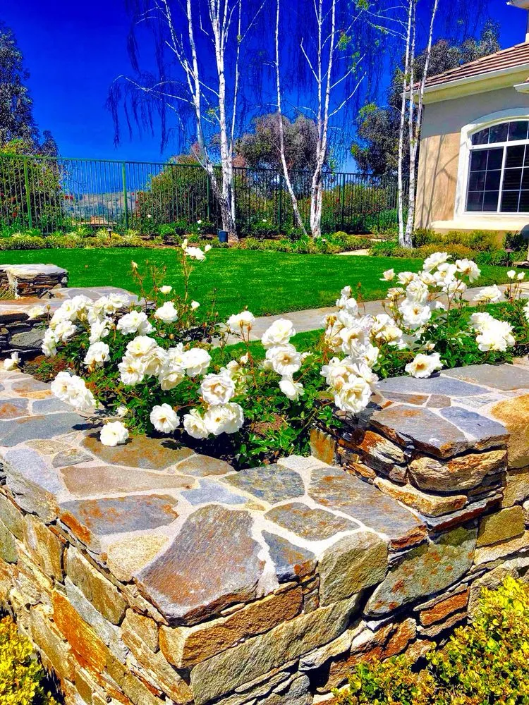 Professional yard maintenance in Orange, CA by Luis Alberto Gardening Service