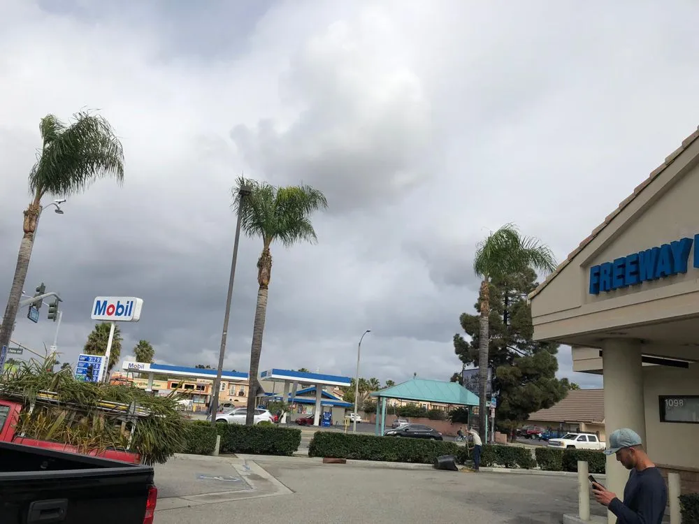 Custom garden landscaping experts serving Orange, CA - Luis Alberto Gardening Service