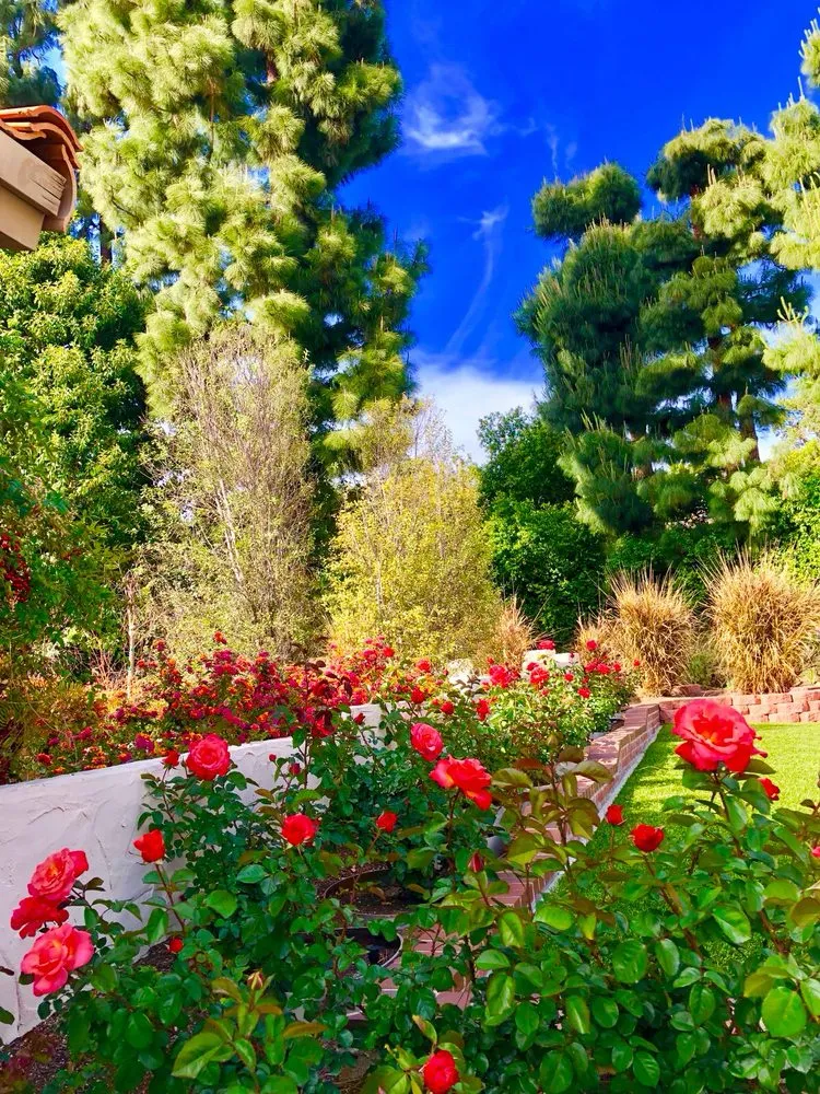 Affordable lawn care service with custom design in Orange, CA by Luis Alberto Gardening Service