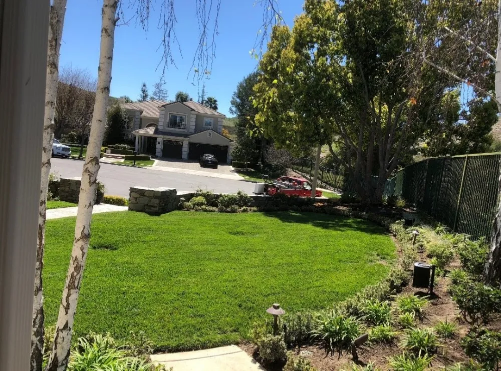 Reliable lawn mowing service experts serving Orange, CA - Luis Alberto Gardening Service