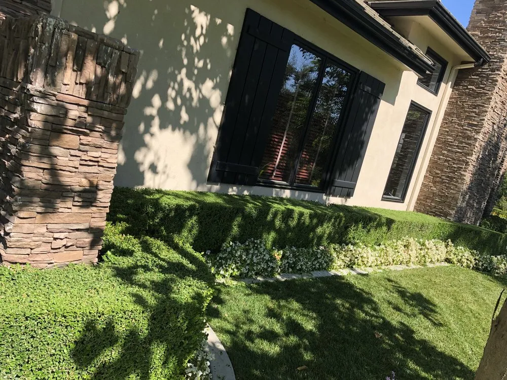 Local yard maintenance near you in Orange, CA by Luis Alberto Gardening Service