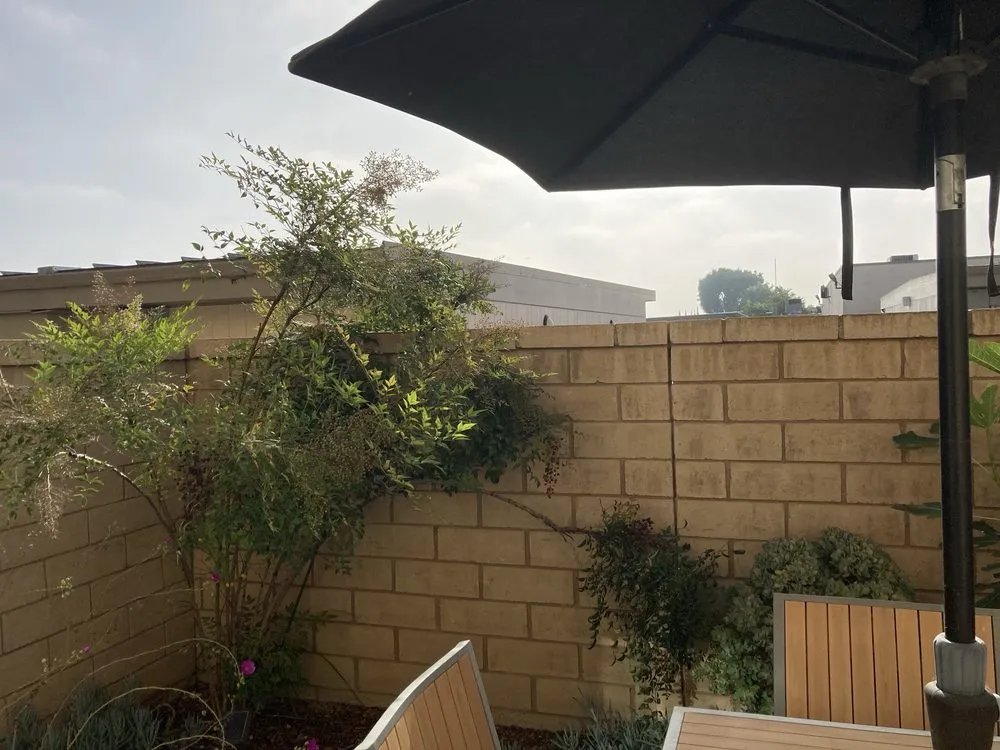 Top-rated garden landscaping for year-round maintenance across Orange, CA - Luis Alberto Gardening Service