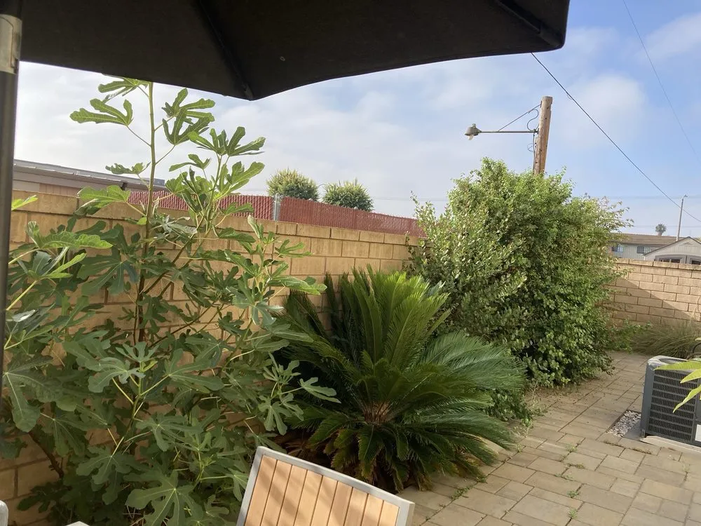 Reliable yard maintenance near you in Orange, CA by Luis Alberto Gardening Service