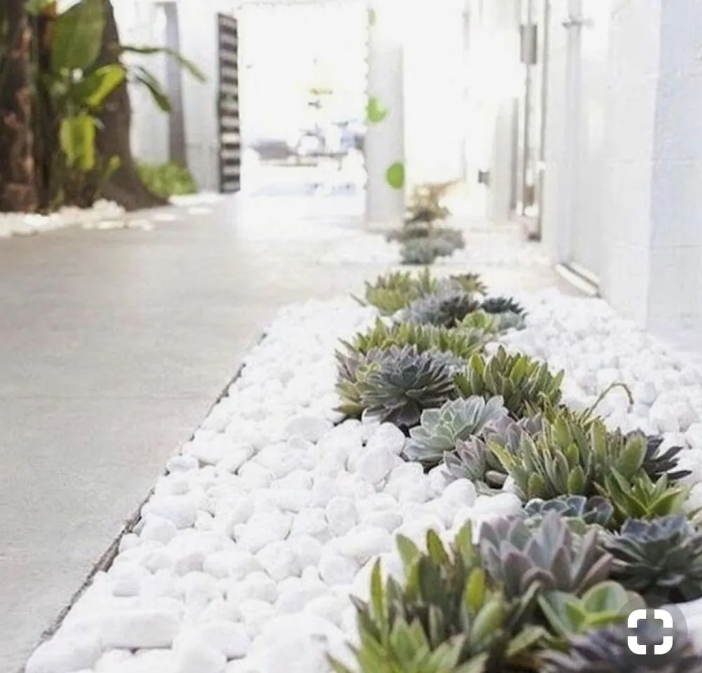 Affordable lawn care service in Orange, CA - Luis Alberto Gardening Service