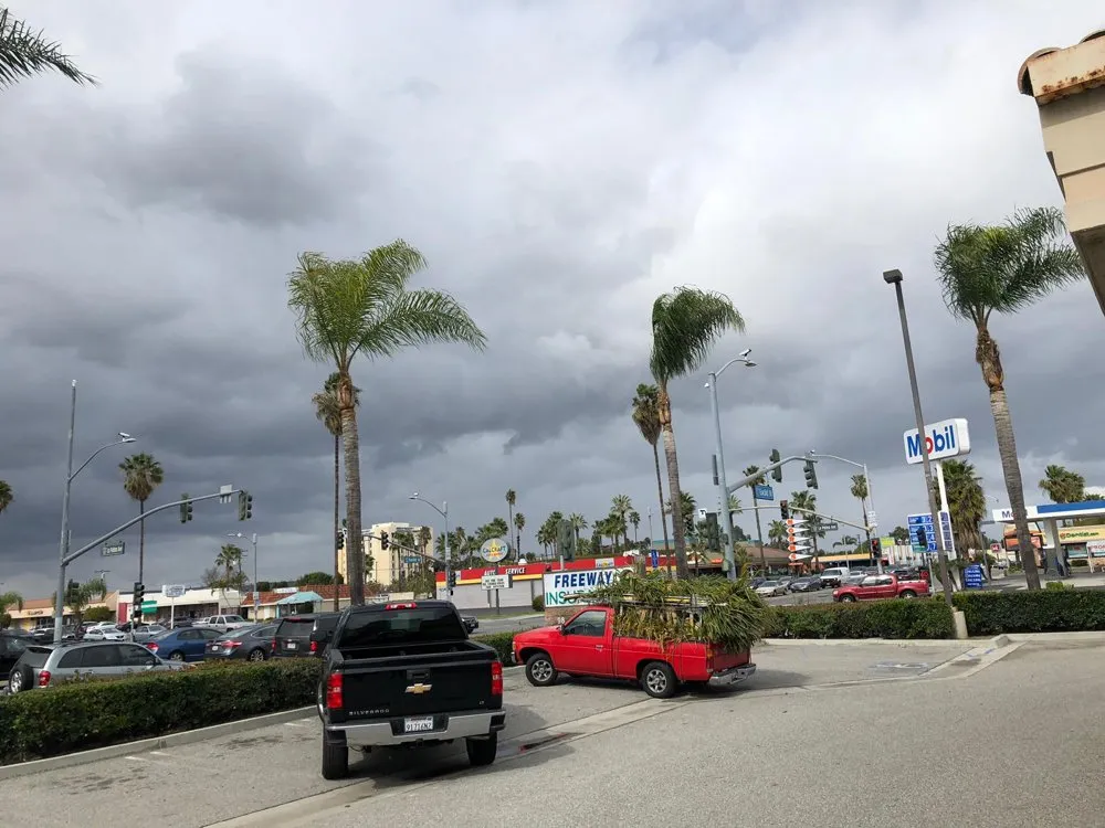 Affordable yard maintenance in Orange, CA - Luis Alberto Gardening Service