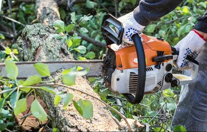 Reliable landscaping services for homes across Golden Gate, FL - Luis and Brothers Lawn Service