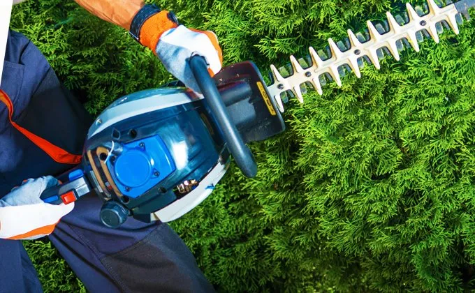 Expert landscape installation experts serving Golden Gate, FL - Luis and Brothers Lawn Service