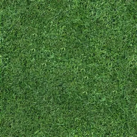 Professional lawn mowing service for beautiful yards in Golden Gate, FL by Luis and Brothers Lawn Service