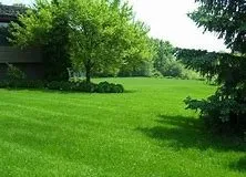 Professional residential landscaping experts serving Golden Gate, FL - Luis and Brothers Lawn Service