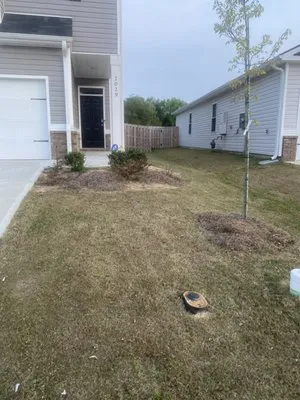 Luis and Emmanuel Yardwork