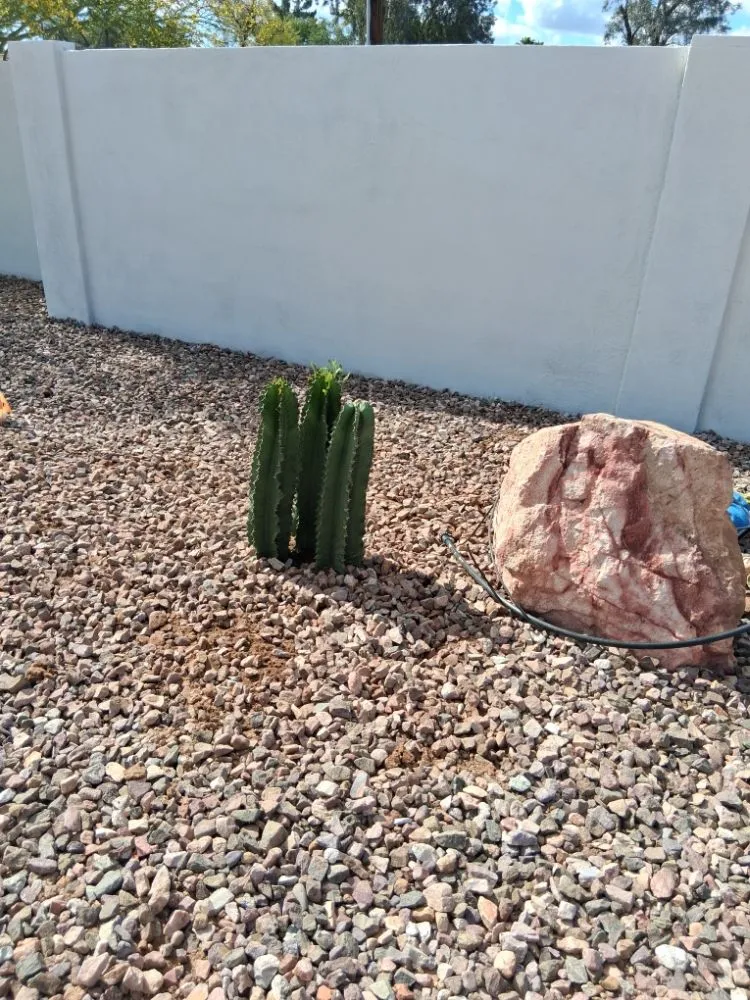 Affordable lawn care service with custom design in Phoenix, AZ by Luis Angel Landscaping