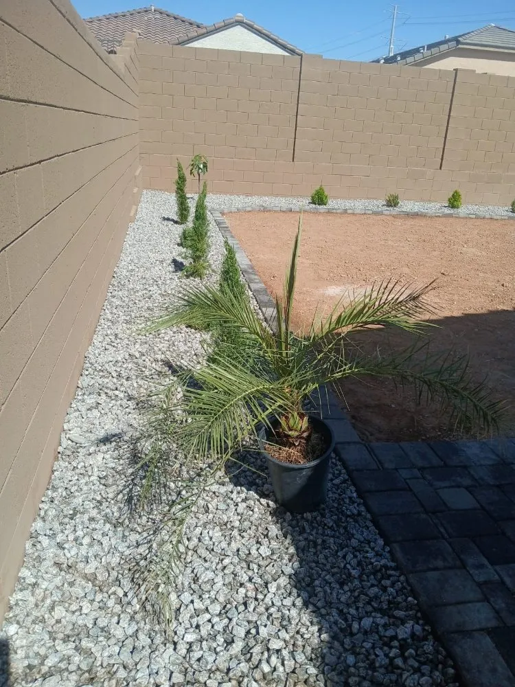Affordable landscape design near you in Phoenix, AZ by Luis Angel Landscaping