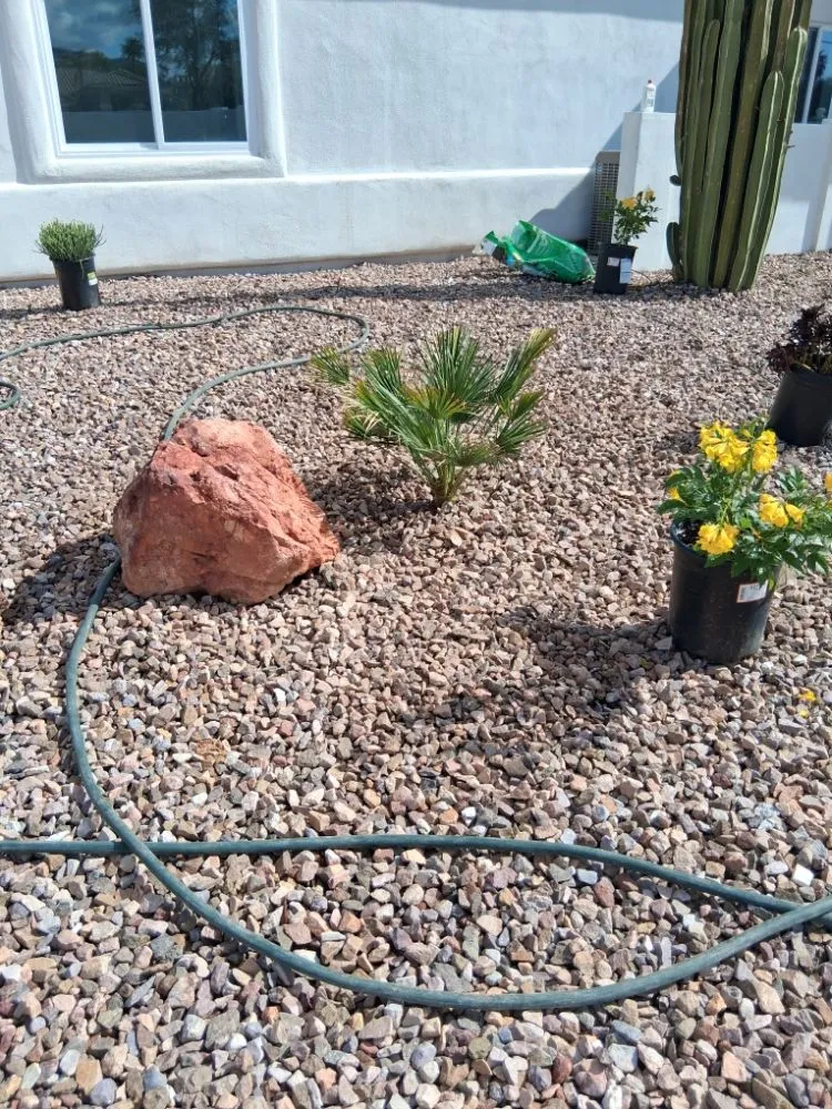 Local yard cleanup service in Phoenix, AZ - Luis Angel Landscaping