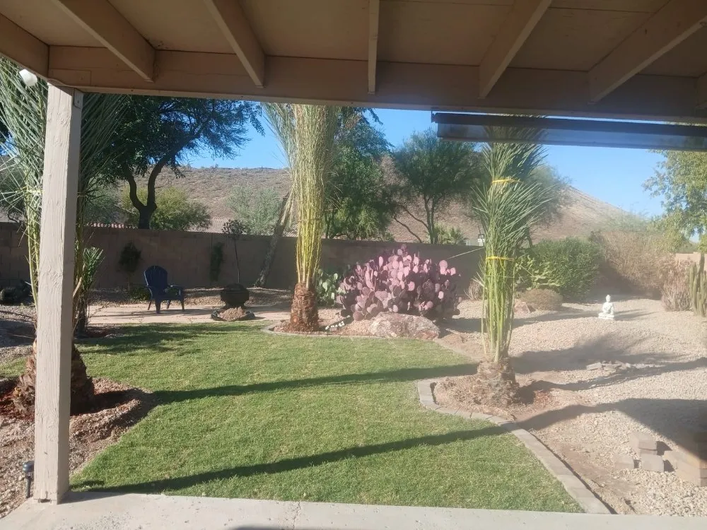 Top-rated landscaping services experts serving Phoenix, AZ - Luis Angel Landscaping