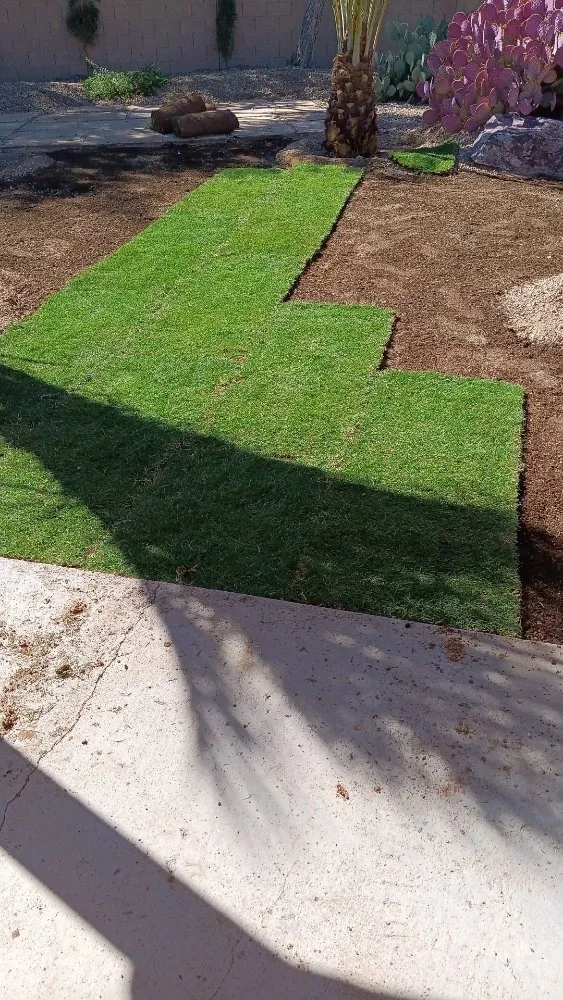 Top-rated outdoor landscaping experts serving Phoenix, AZ - Luis Angel Landscaping