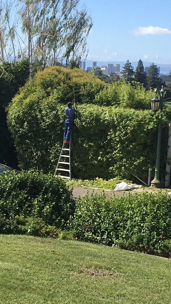 Local landscape design for residential properties in Pittsburg, CA by Luis Arredondo