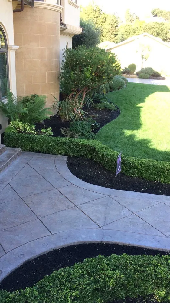 Affordable landscape design for homes across Pittsburg, CA - Luis Arredondo