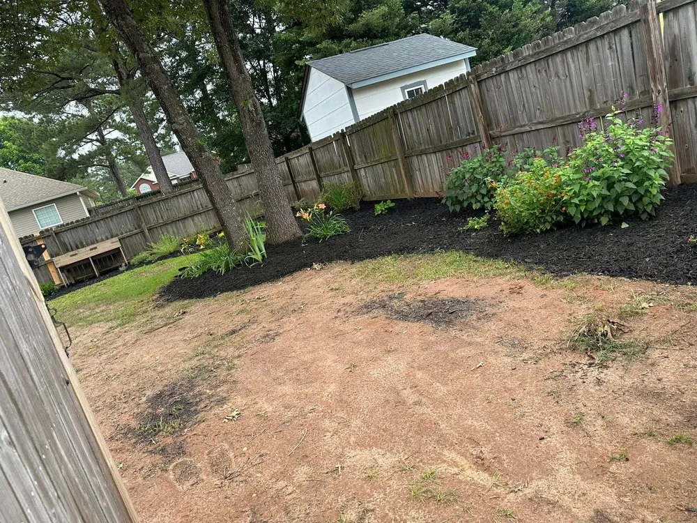 Top-rated lawn care service for beautiful yards across Kathleen, GA - Luis Barajas Lawn Care and Tree Services