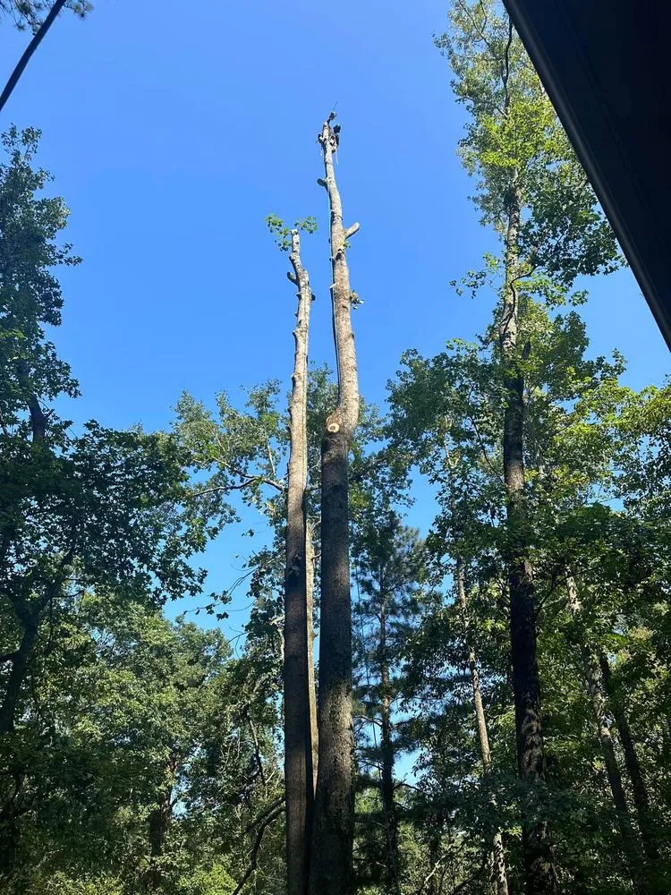 Local residential landscaping for residential properties across Kathleen, GA - Luis Barajas Lawn Care and Tree Services