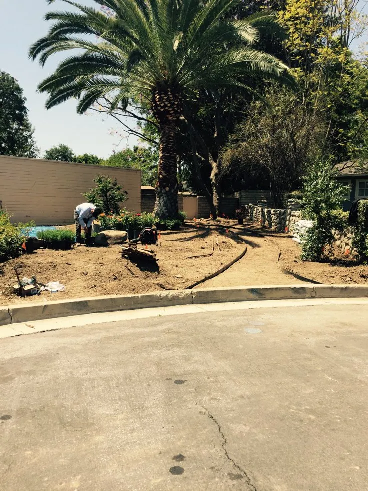 Affordable lawn mowing service in Duarte, CA - Luis Casas Tree Service